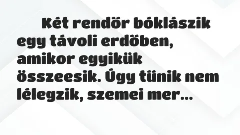 Viccek:
Két rendőr bóklászik egy távoli erdőben, amikor… Viccek:
Két rendőr bóklászik egy távoli erdőben, amikor…