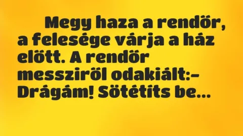 Viccek:
Megy haza a rendőr, a felesége várja a ház előtt…. Viccek:
Megy haza a rendőr, a felesége várja a ház előtt….