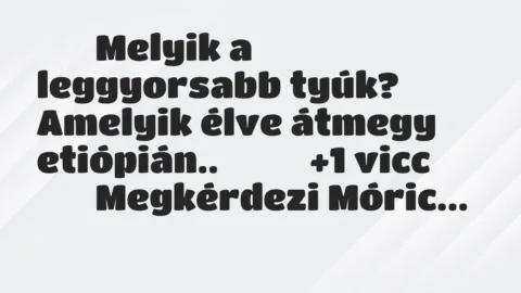 Viccek: 
		  
		  Melyik a leggyorsabb tyúk? Amelyik élve…