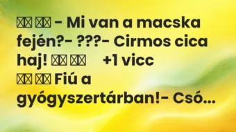 Viccek: 
		  
		  – Mi van a macska fején?- ???- Cirmos…