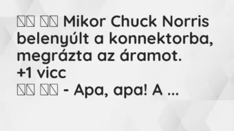 Viccek: 
		  
		  Mikor Chuck Norris belenyúlt a konnektorba,…