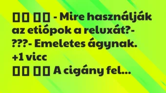 Viccek: 
		  
		  – Mire használják az etiópok a reluxát?-…