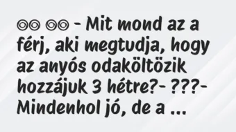 Viccek: 
		  
		  – Mit mond az a férj, aki megtudja, hogy az anyós…