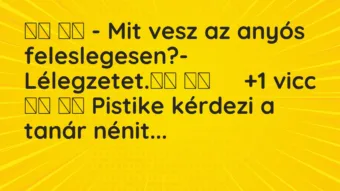 Viccek: 
		  
		  – Mit vesz az anyós feleslegesen?-…