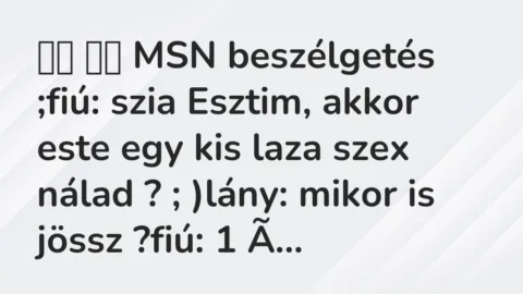 Viccek: 
		  
		  MSN beszélgetés ;fiú: szia Esztim, akkor este…