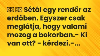 Viccek: 
		  
		  Sétál egy rendőr az erdőben. Egyszer csak…