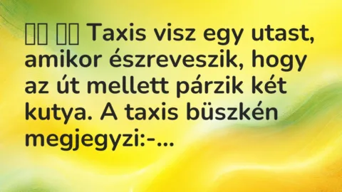 Viccek: 
		  
		  Taxis visz egy utast, amikor észreveszik, hogy az…