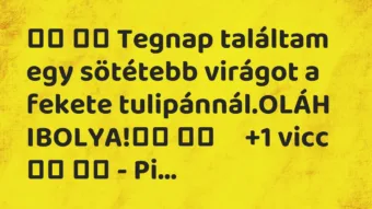 Viccek: 
		  
		  Tegnap találtam egy sötétebb virágot a fekete…