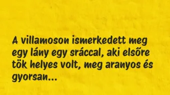 Vicces történet: 
	    	    


A villamoson ismerkedett meg egy lány…