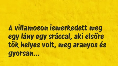 Vicces történet:
A villamoson ismerkedett meg egy lány… Vicces történet:
A villamoson ismerkedett meg egy lány…