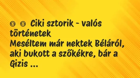 Vicces történet: 
	    	    Ciki sztorik – valós történetek


Meséltem már nektek…