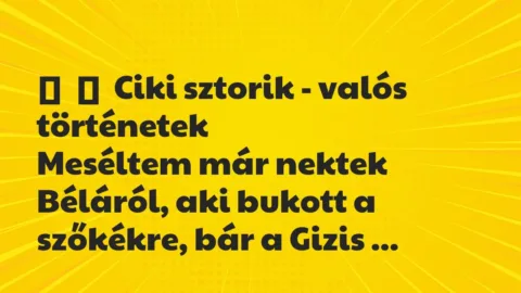 Vicces történet: 
	    	    Ciki sztorik – valós történetek


Meséltem már nektek…