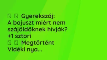 Vicces történet: 
	    	    Gyerekszáj:


A bajuszt miért nem szájöldöknek…