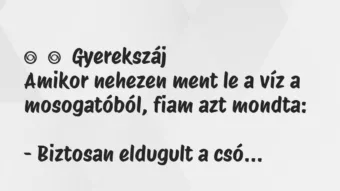 Vicces történet: 
	    	    Gyerekszáj


Amikor nehezen ment le a víz a…