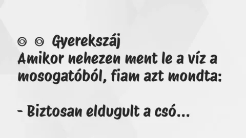 Vicces történet: 
	    	    Gyerekszáj


Amikor nehezen ment le a víz a…