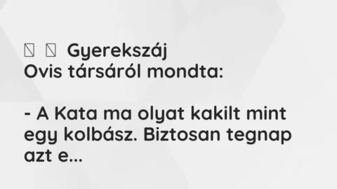 Vicces történet: 
	    	    Gyerekszáj


Ovis társáról mondta:





– A…