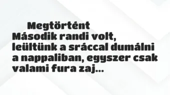 Vicces történet: 
	    	    Megtörtént


Második randi volt, leültünk a sráccal…