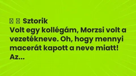 Vicces történet: 
	    	    Sztorik


Volt egy kollégám, Morzsi volt a vezetékneve….