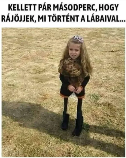#VK1772466242