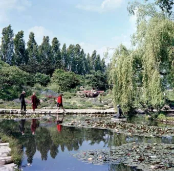 1959. Bp., a Margitszigeten. Nemzeti Fotótár #RK1773568816 1959. Bp., a Margitszigeten.
Nemzeti Fotótár
#RK1773568816