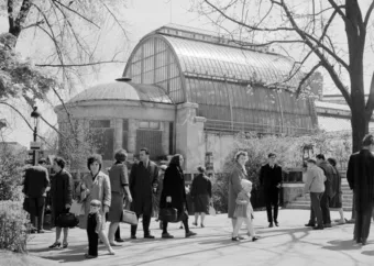 1965.  Bp., Állatkerti látogatók, háttérben a Pálmaház.
Nemzeti Fotótár
 #RK1773129601