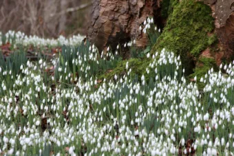 Borongósabb, hűvösebb nap jön – holnapi időjárás március 14-én