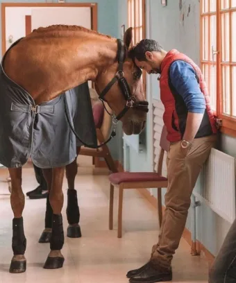 “Egy calais-i kórház folyosóin egy 15 éves ló sétál csendesen.
Megáll azoknál az… #I1772650964