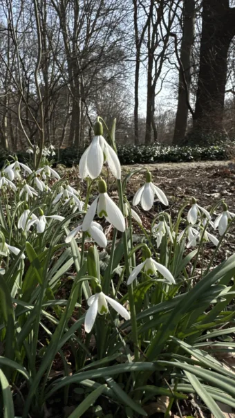 Enyhe, de változékony nap jön – időjárás március 4.