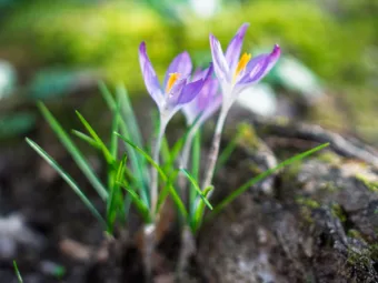 Felhők és 10 fok körüli csúcsok – ilyen lesz március 13. időjárása