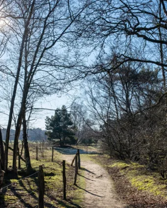 Már 19 fok közelében – holnapi időjárás március 26-án Már 19 fok közelében – holnapi időjárás március 26-án