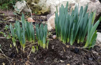 Szelesebb, felhősebb idő jön – holnapi időjárás március 12.