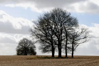 john@johnevans.org Szelesebb, változékony idő jön – holnapi időjárás március 10-én