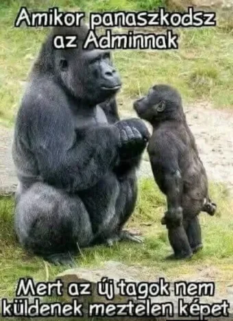 #VK1772389159 #VK1772389159