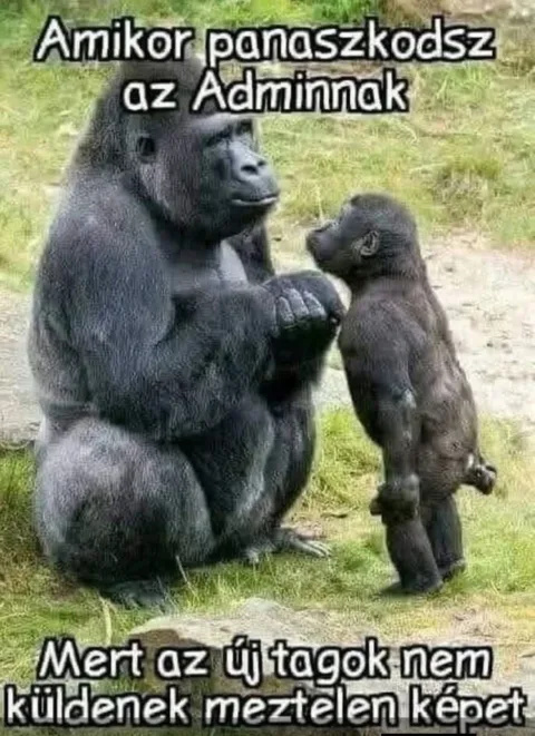 #VK1772389159