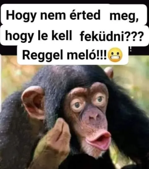 #VK1772415675