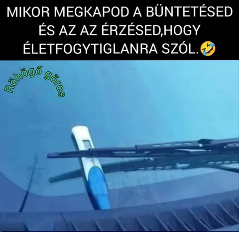 #VK1772431973