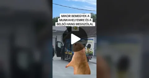 #VK1772479699