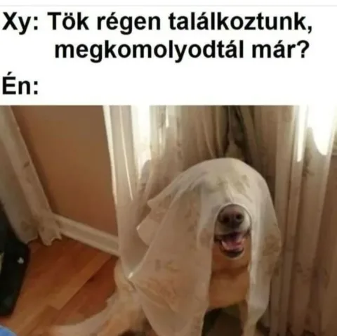 #VK1772528555