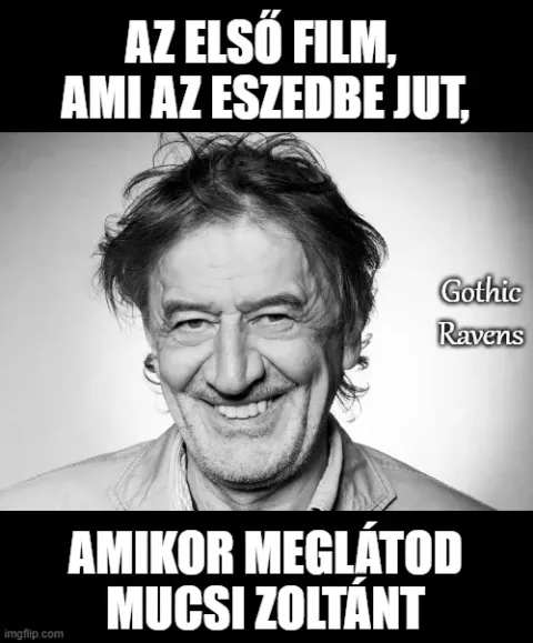 #VK1772544823