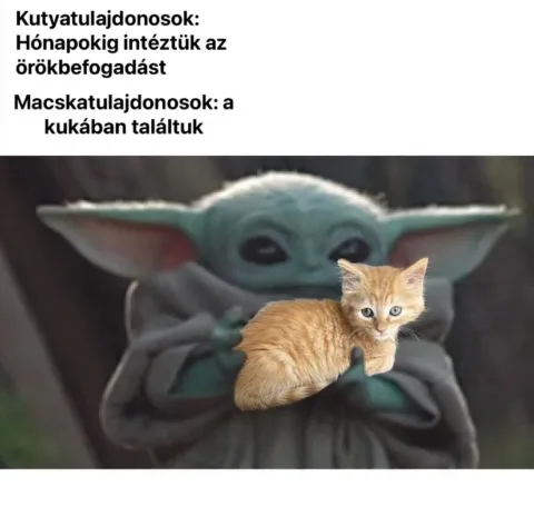 #VK1772560269