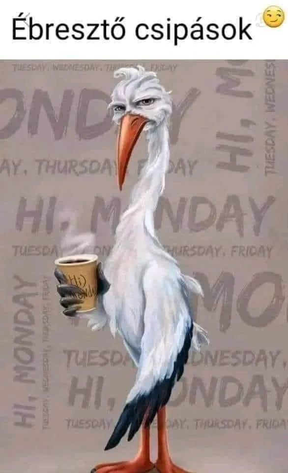 #VK1772602915 #VK1772602915