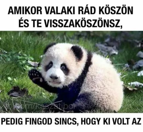 #VK1772702526