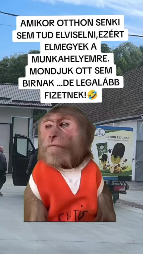 #VK1772779718