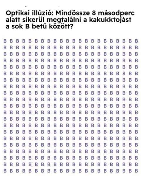 #VK1772814291