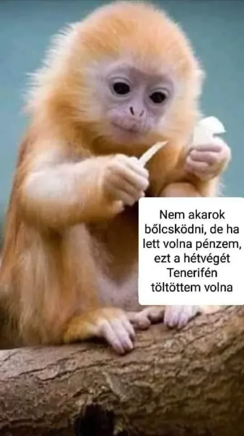 #VK1772881940
