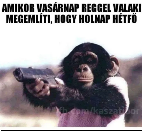 #VK1772970635