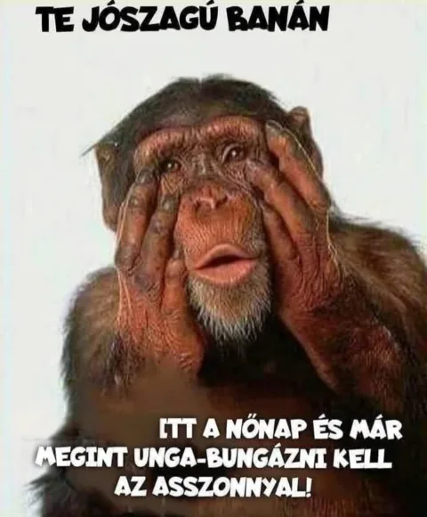 #VK1772996407