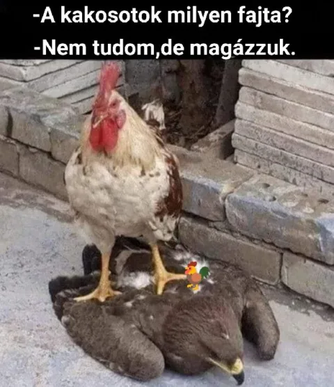 #VK1773057008