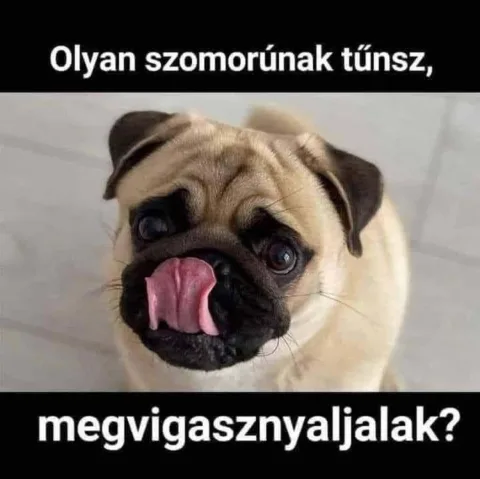 #VK1773147609