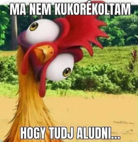 #VK1773380089